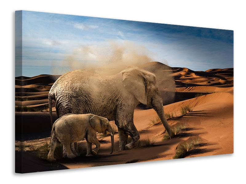 Canvas print Elephants in the desert