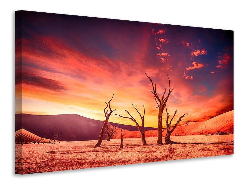 Canvas print Colorful desert