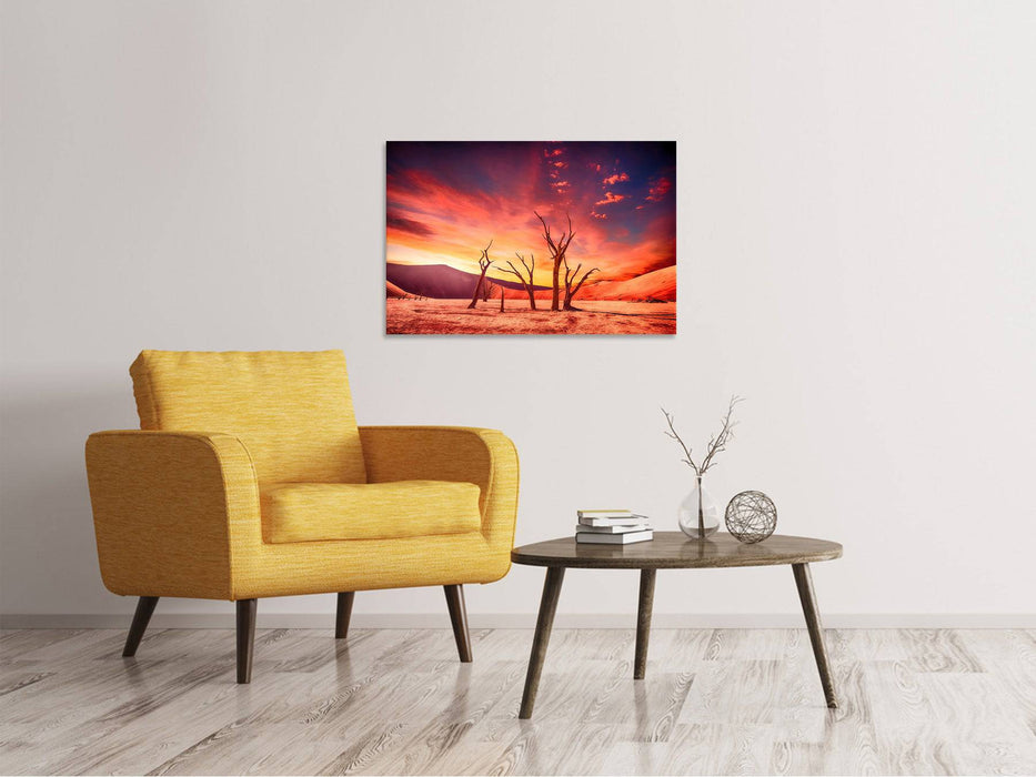 Canvas print Colorful desert