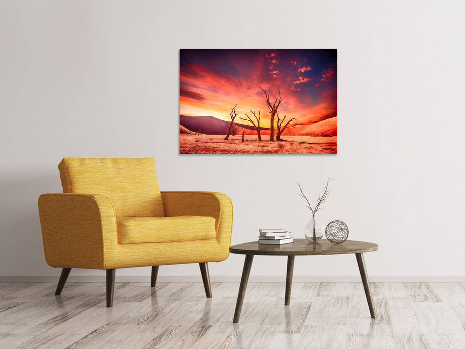 Canvas print Colorful desert