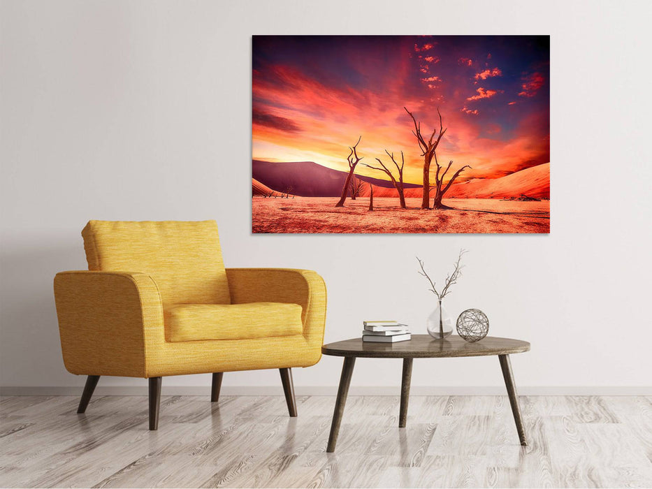 Canvas print Colorful desert