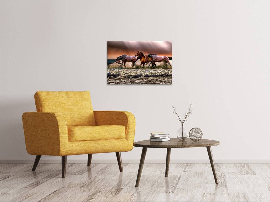 Tableaux sur toile Liberté pour les chevaux