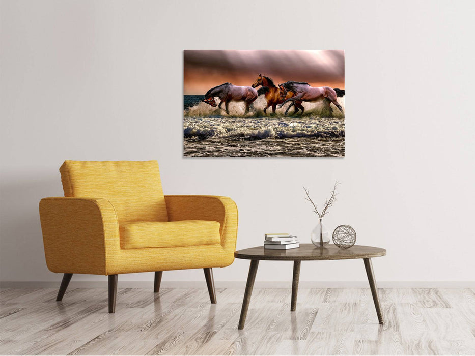 Tableaux sur toile Liberté pour les chevaux