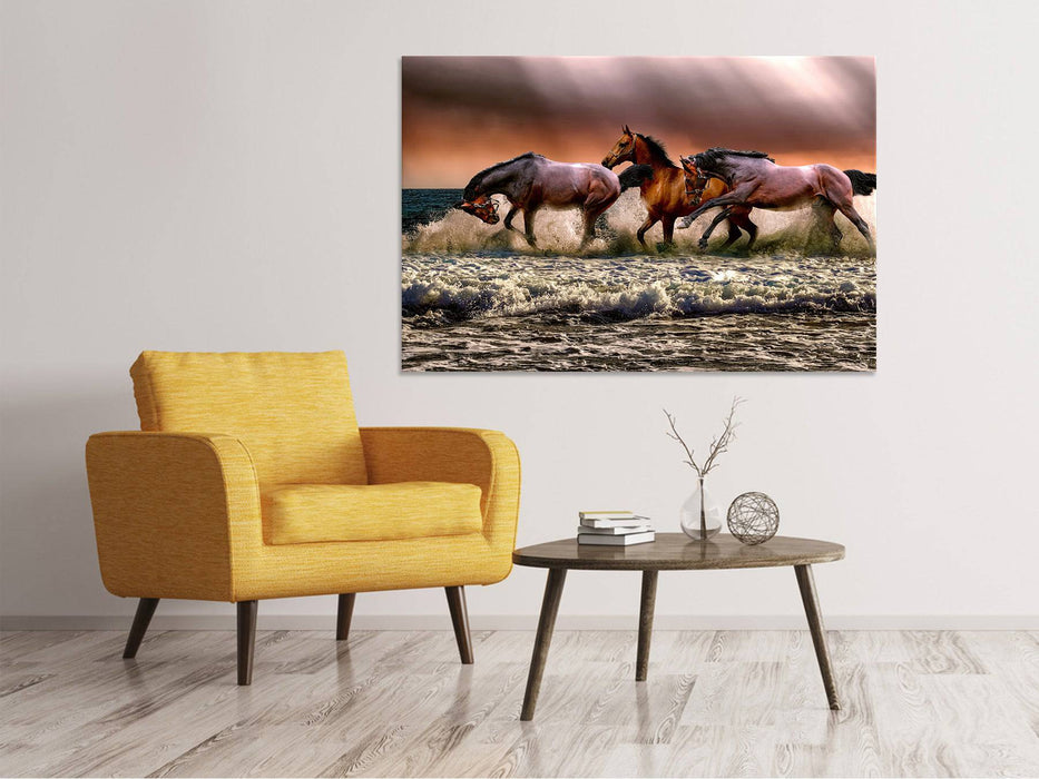 Tableaux sur toile Liberté pour les chevaux