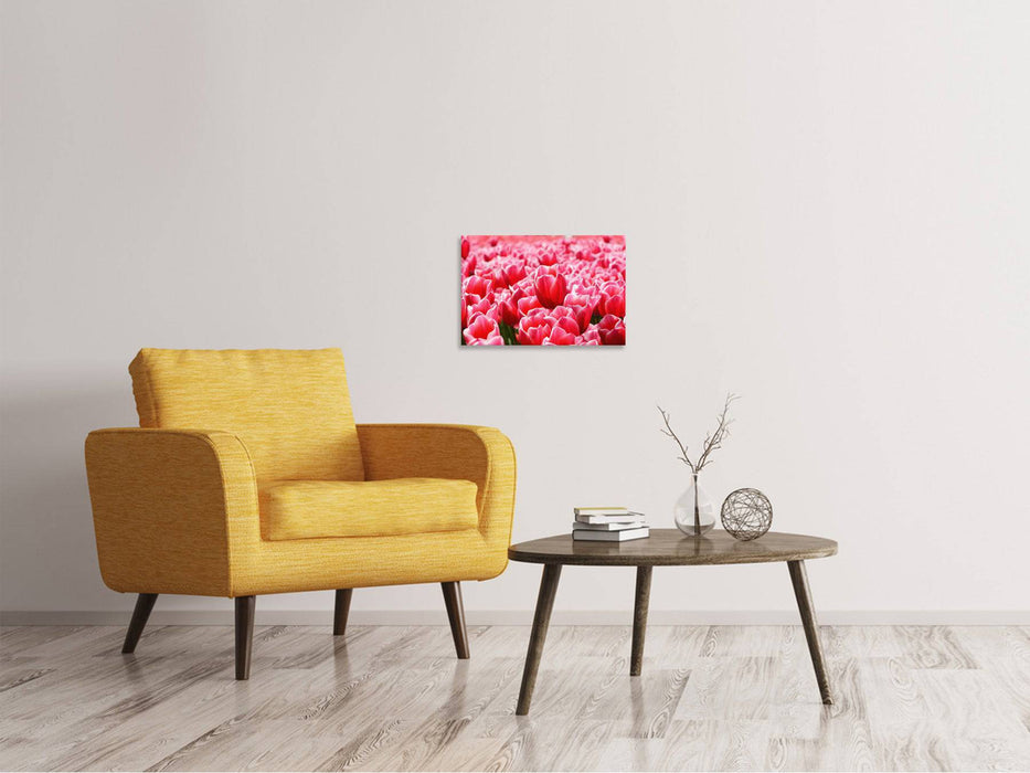 Tableaux sur toile Champ de tulipes heureux