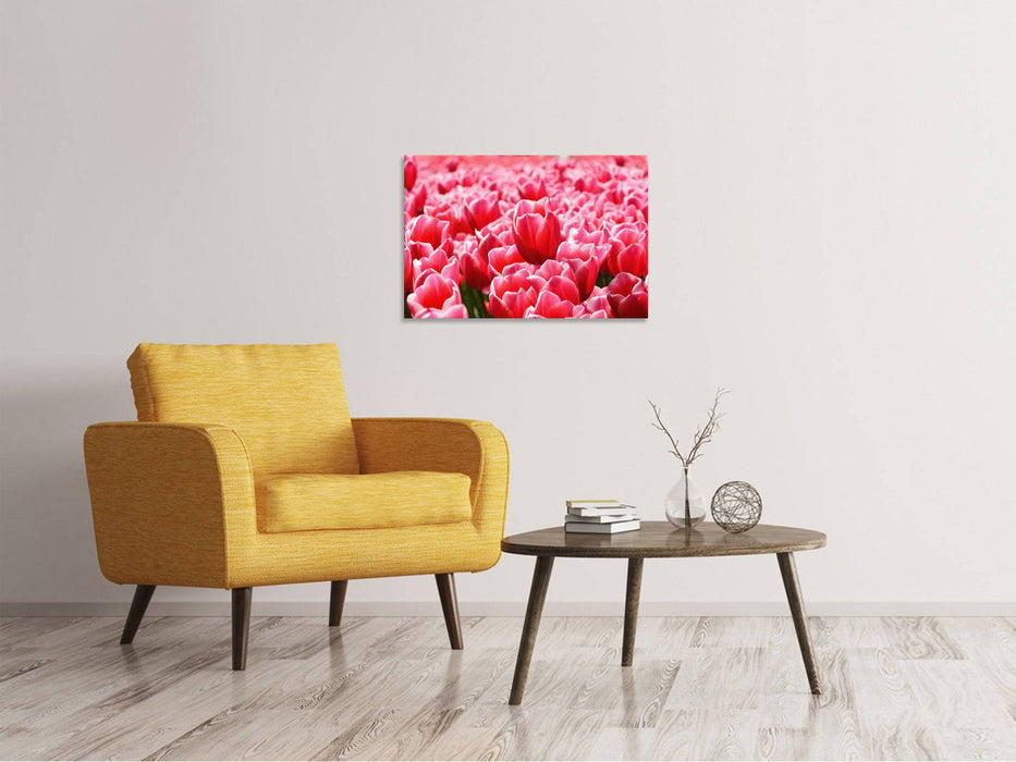 Tableaux sur toile Champ de tulipes heureux