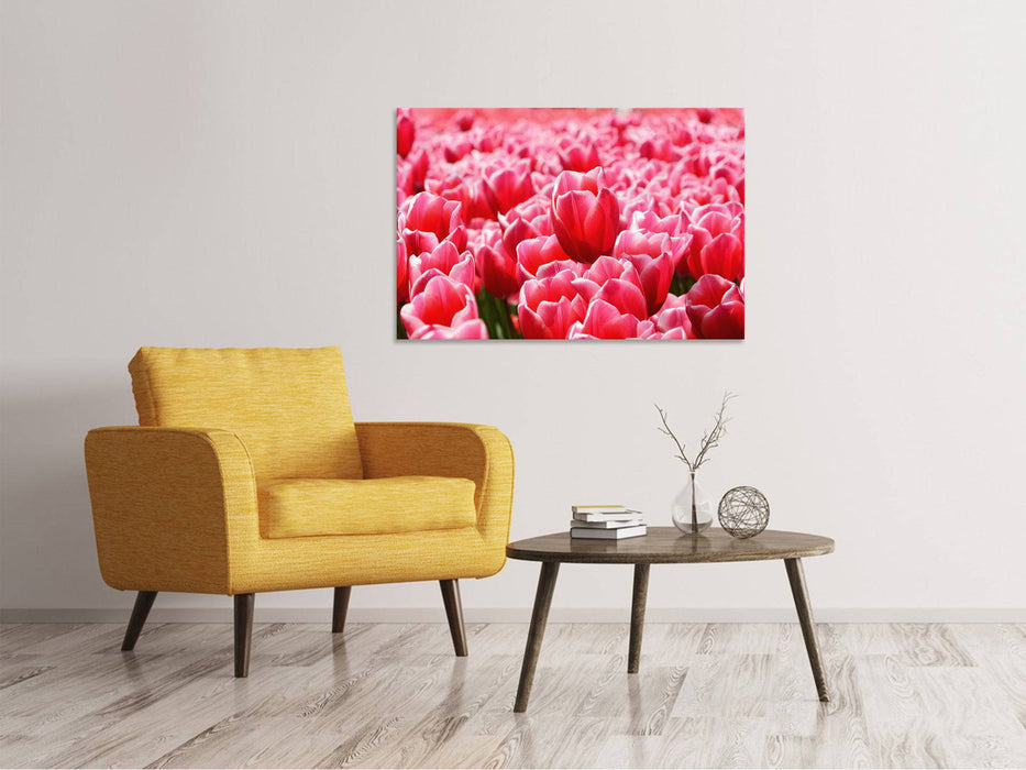 Tableaux sur toile Champ de tulipes heureux