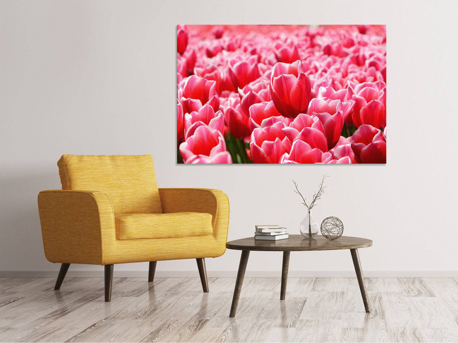 Tableaux sur toile Champ de tulipes heureux