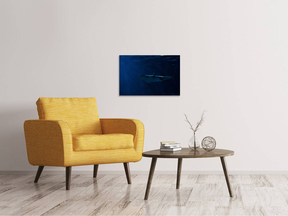 Canvas print Dangerous shark