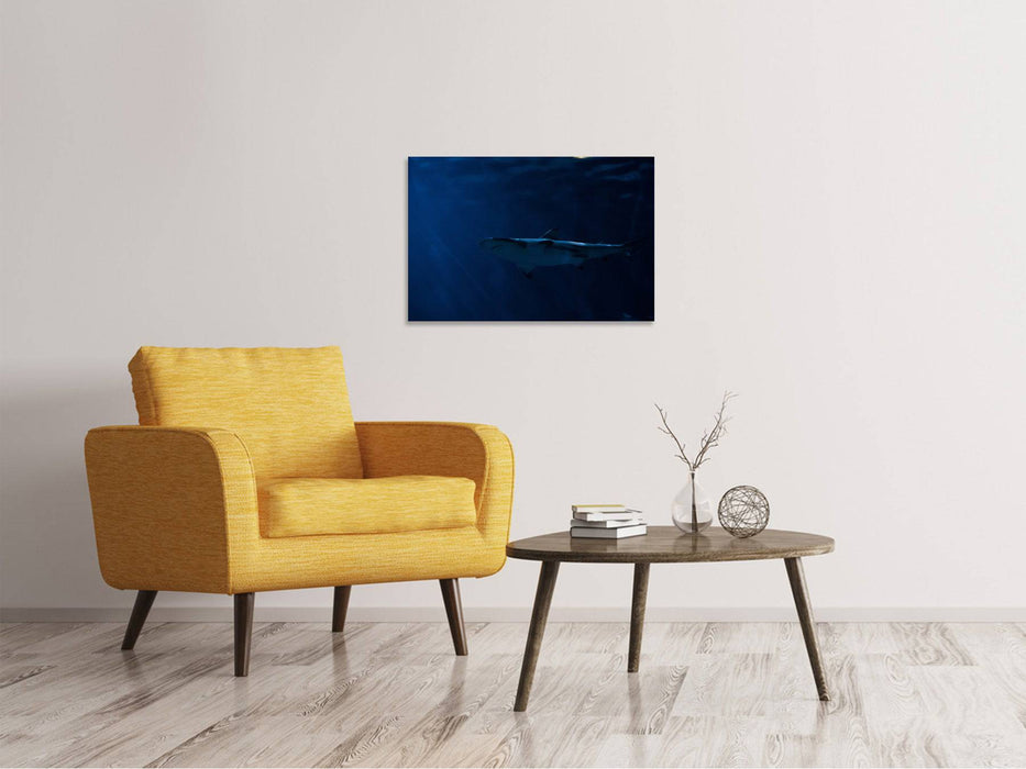 Canvas print Dangerous shark