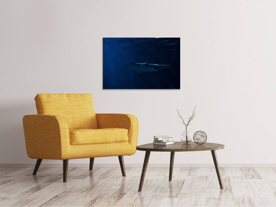 Canvas print Dangerous shark