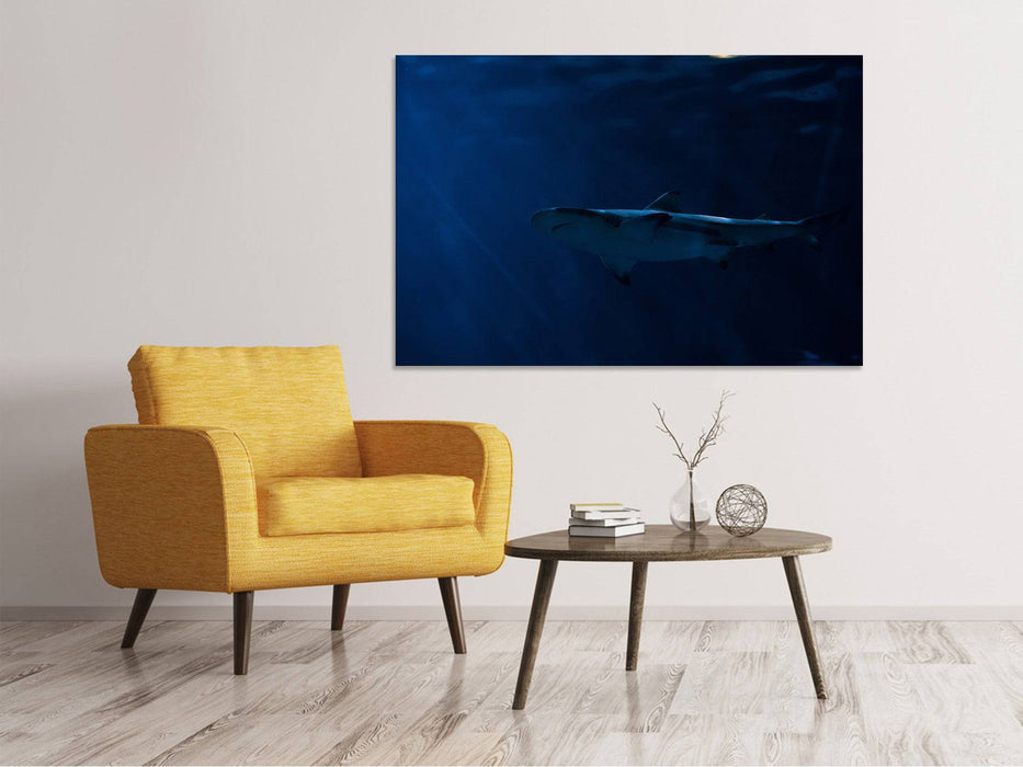 Canvas print Dangerous shark