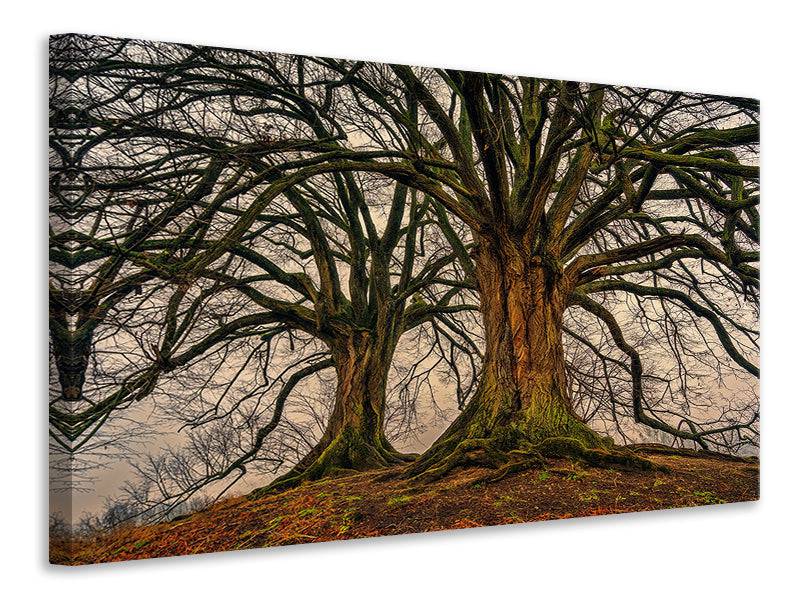 Canvas print Spooky trees