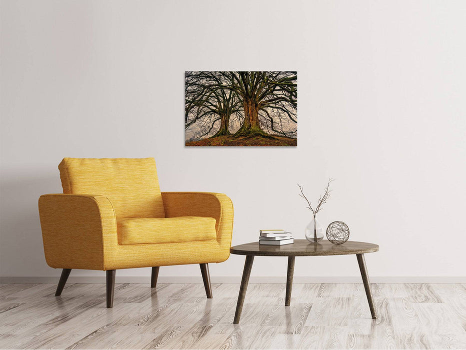 Canvas print Spooky trees