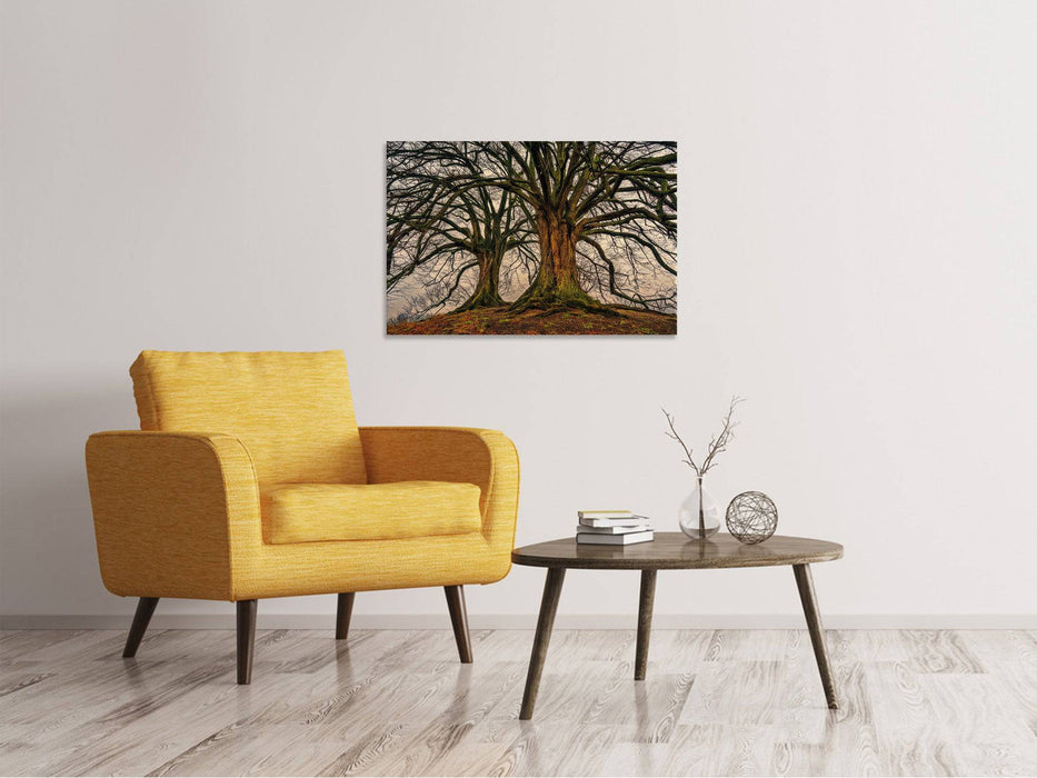 Canvas print Spooky trees