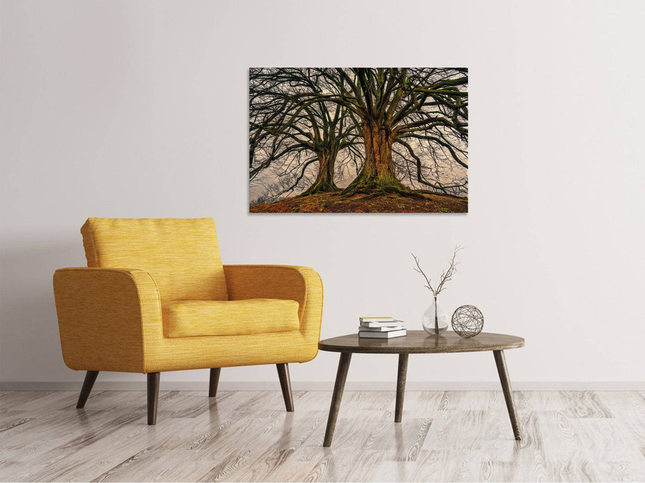 Canvas print Spooky trees