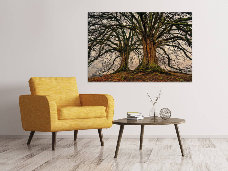 Canvas print Spooky trees