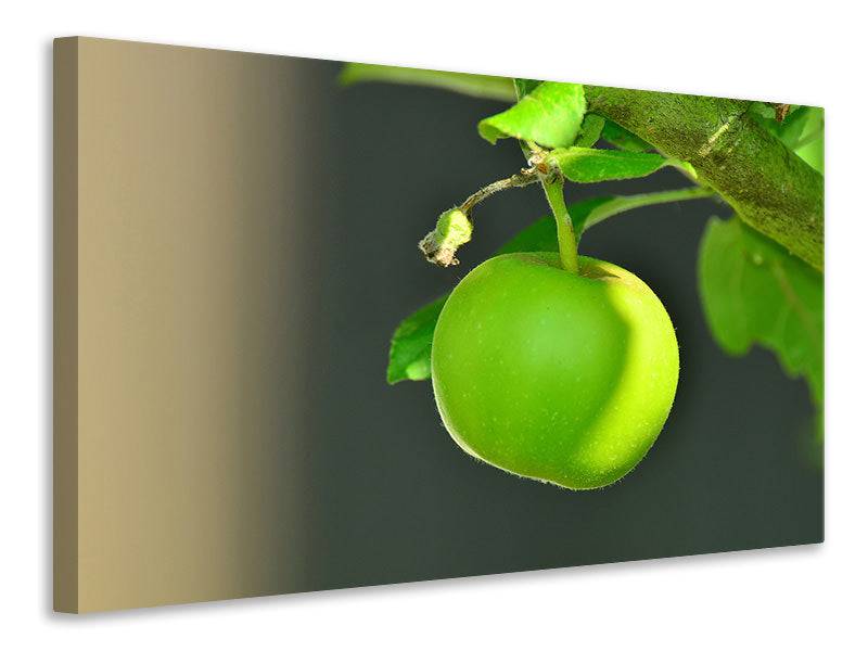 Canvas print Green apple