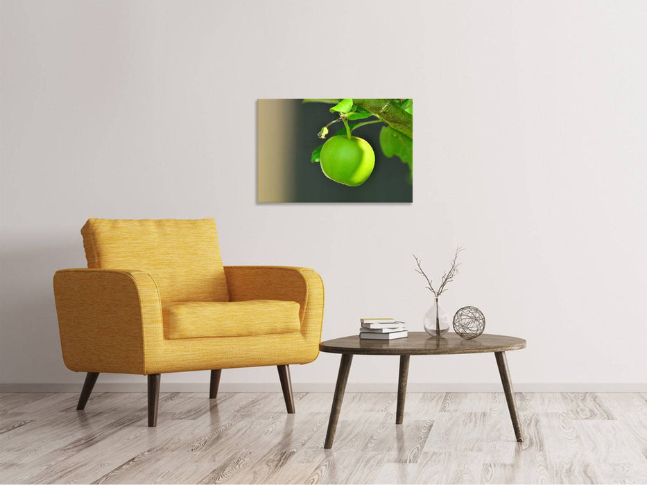 Canvas print Green apple