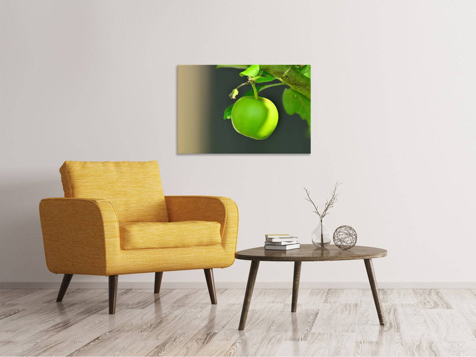 Canvas print Green apple