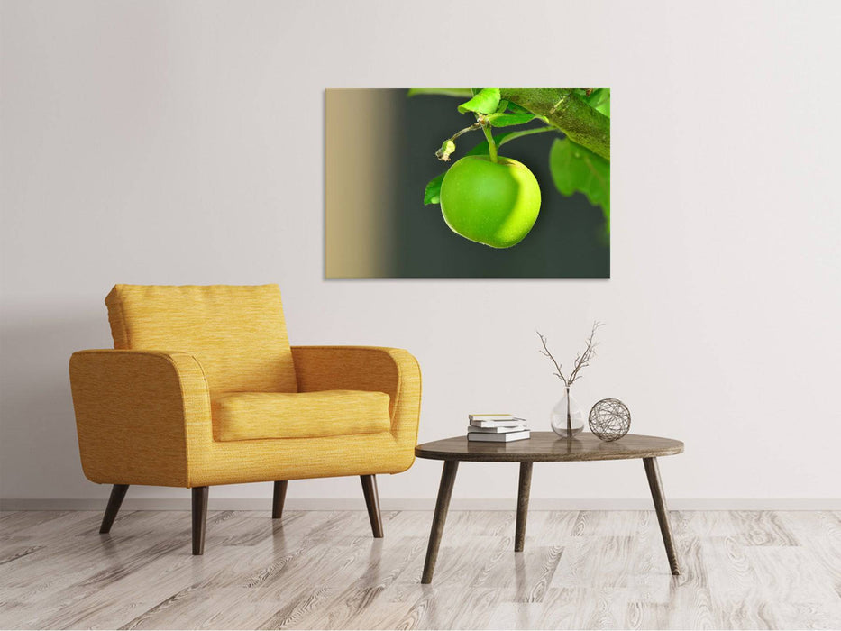 Canvas print Green apple