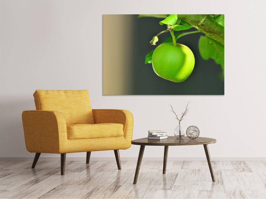 Canvas print Green apple