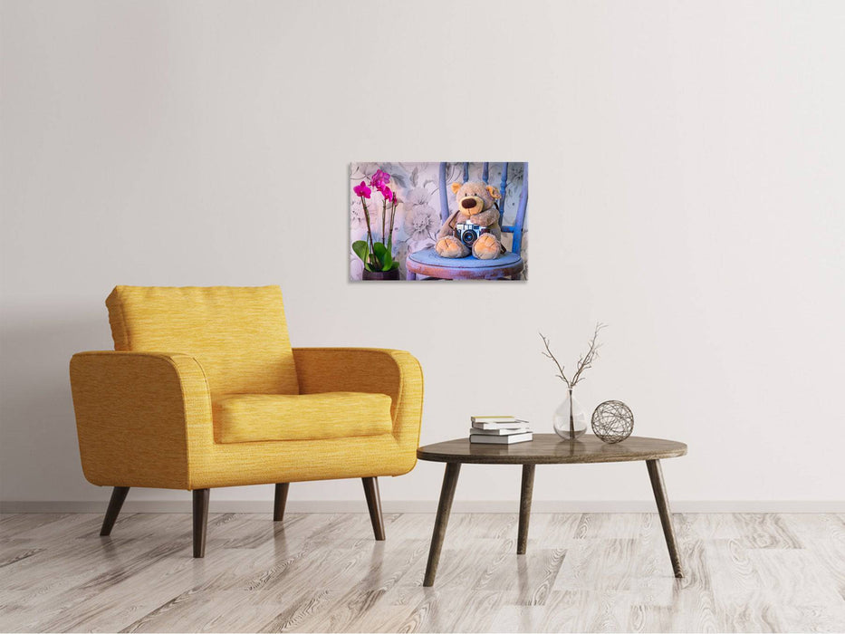 Canvas print camera teddy bear