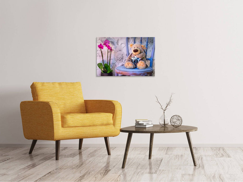 Canvas print camera teddy bear