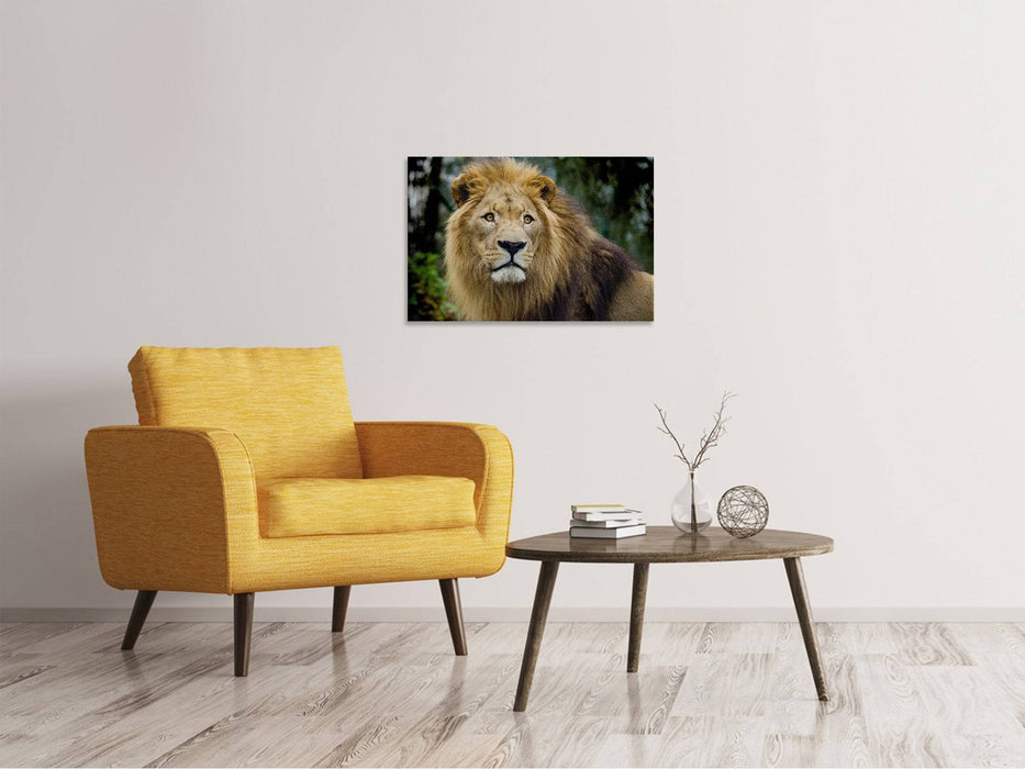 Tableaux sur toile Roi du monde animal