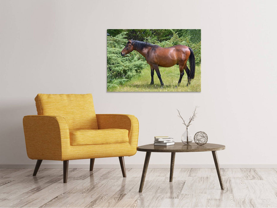 Tableaux sur toile Cheval fort