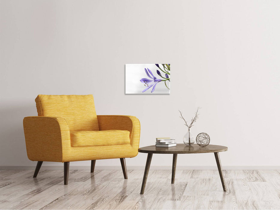 Tableaux sur toile Lys fleurissent en violet