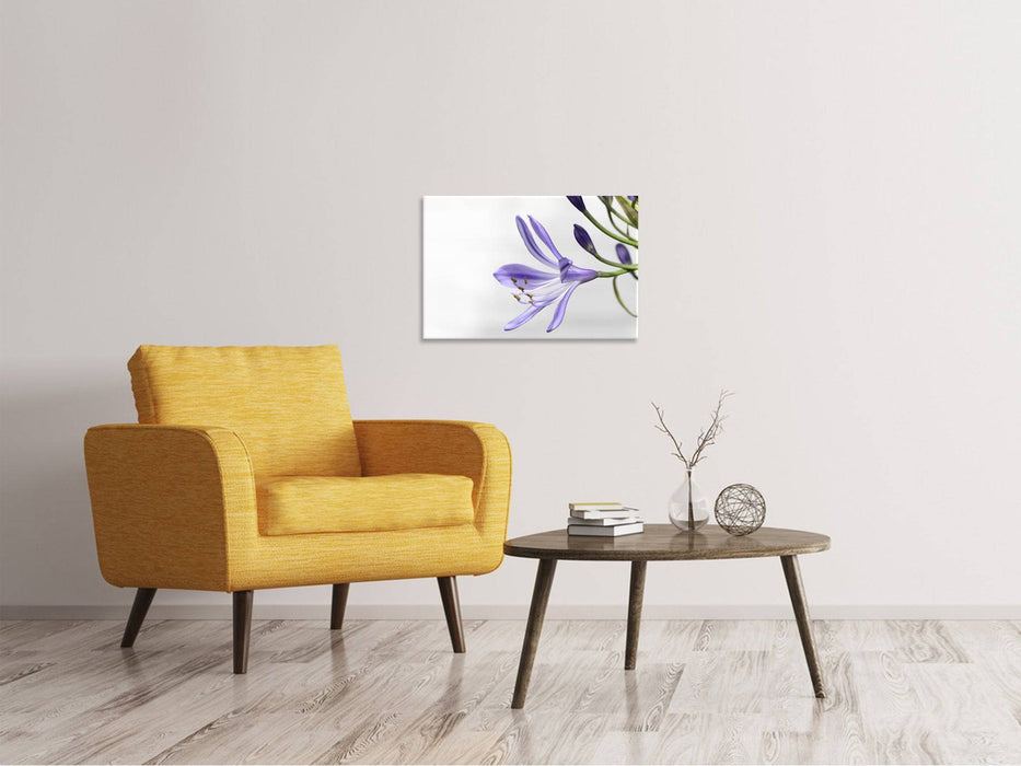 Tableaux sur toile Lys fleurissent en violet