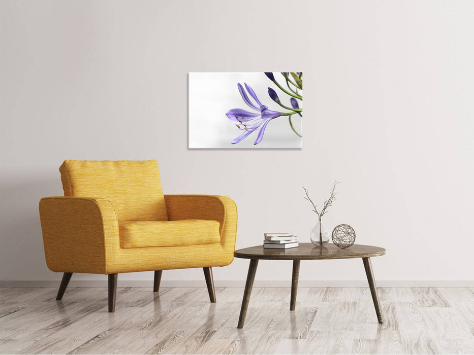 Tableaux sur toile Lys fleurissent en violet