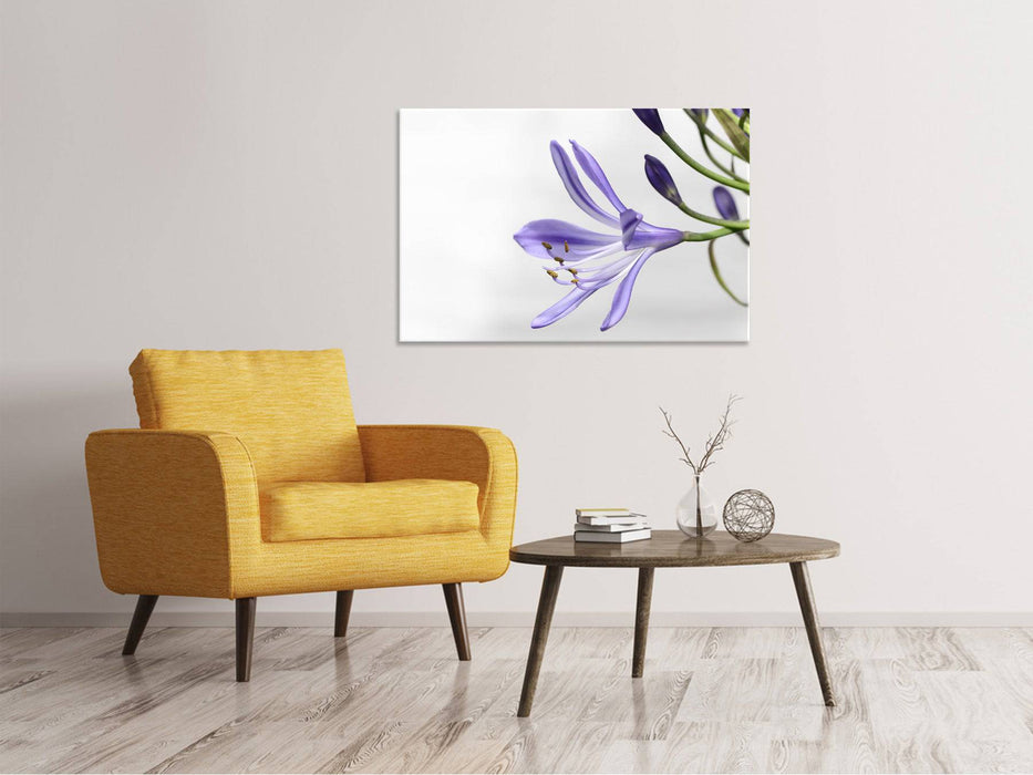 Tableaux sur toile Lys fleurissent en violet