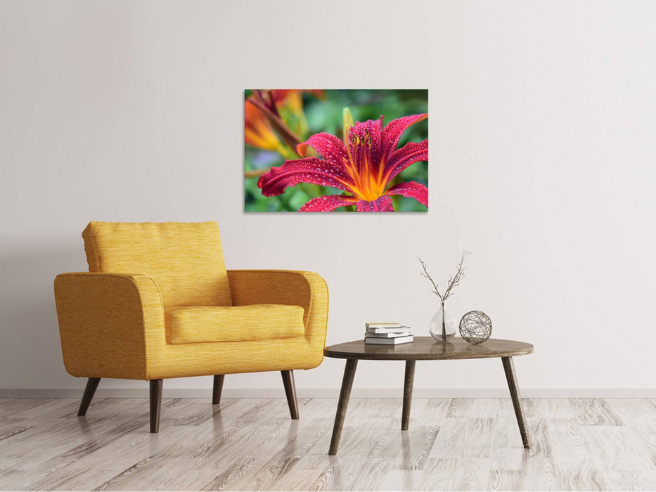 Canvas picture lilies blossom in pink XL