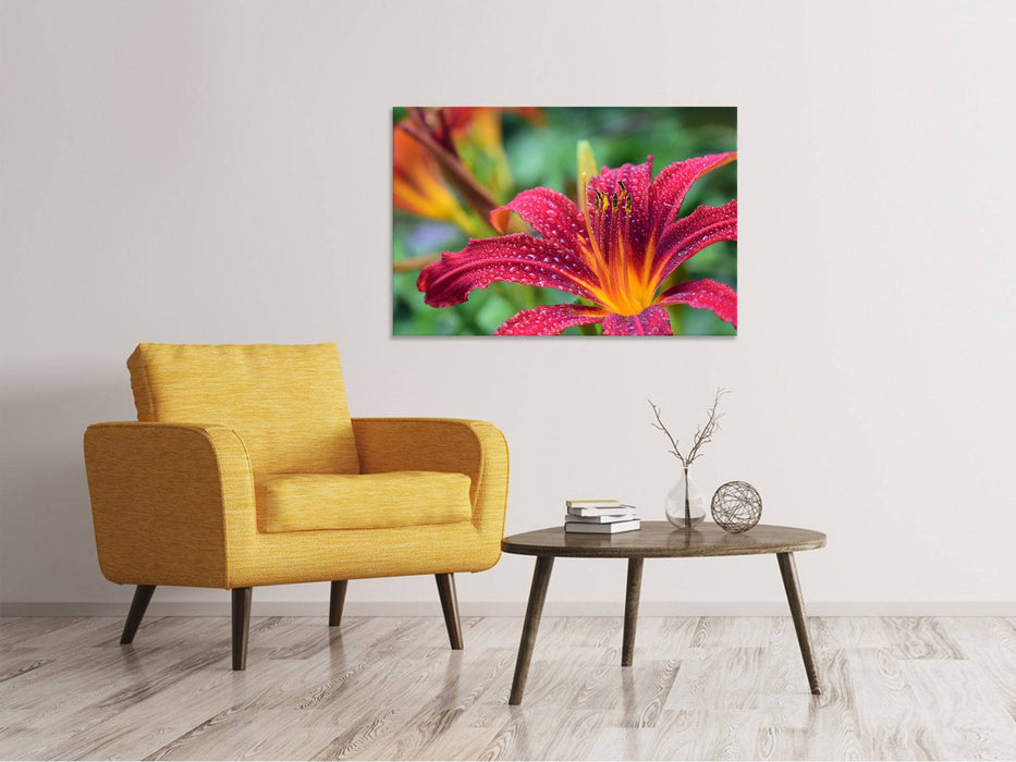 Canvas picture lilies blossom in pink XL