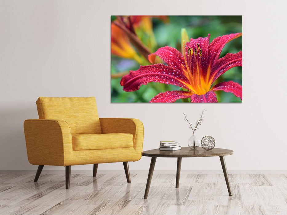 Canvas picture lilies blossom in pink XL