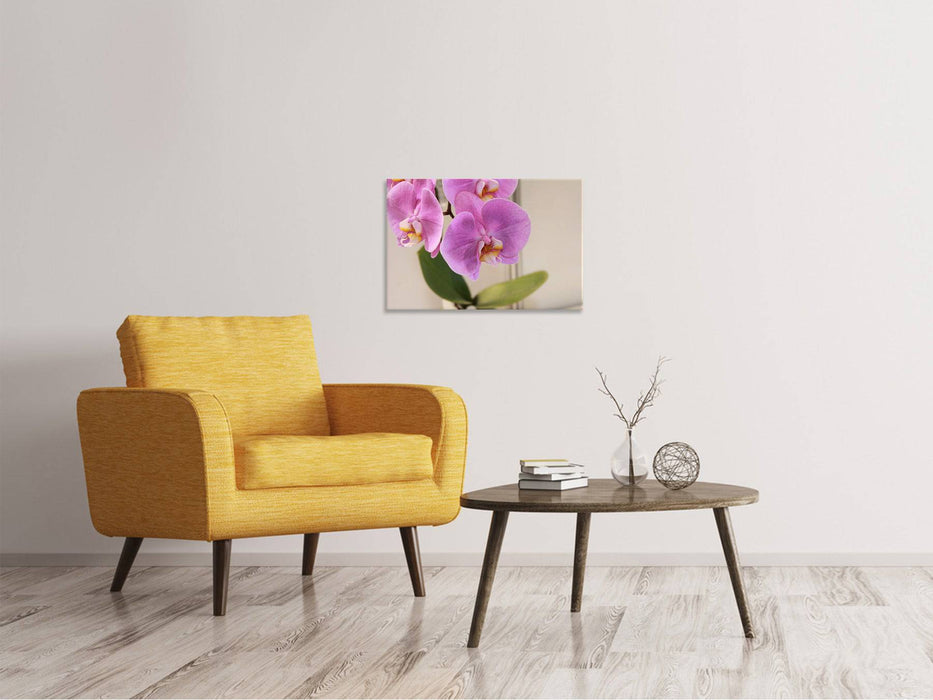 Canvas picture orchids with purple flowers in XL