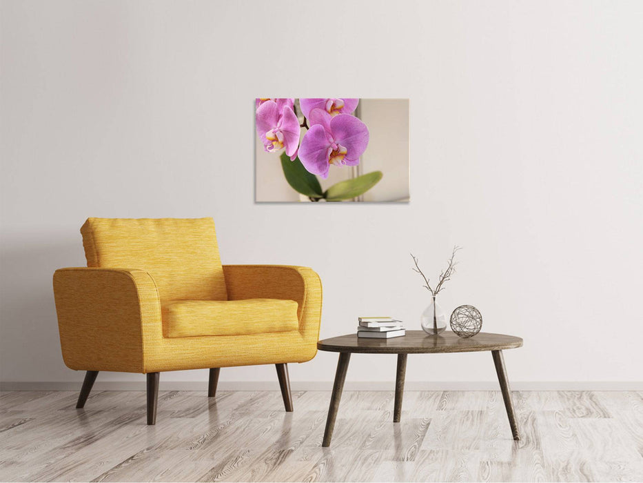 Canvas picture orchids with purple flowers in XL