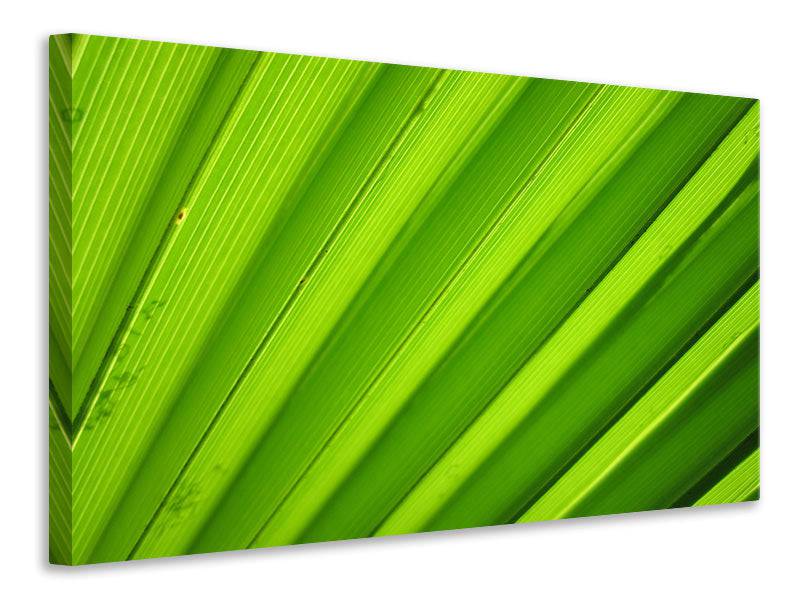 Canvas print palm stripes 2