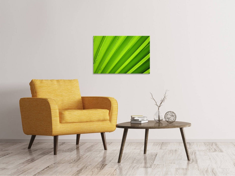 Canvas print palm stripes 2