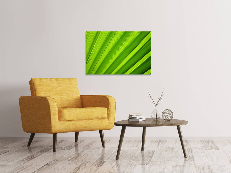 Canvas print palm stripes 2