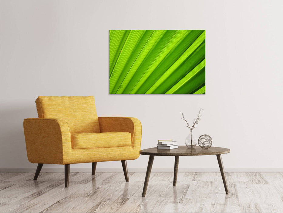 Canvas print palm stripes 2