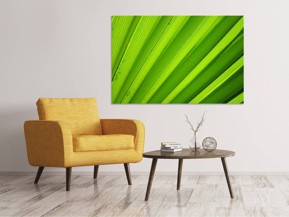 Canvas print palm stripes 2