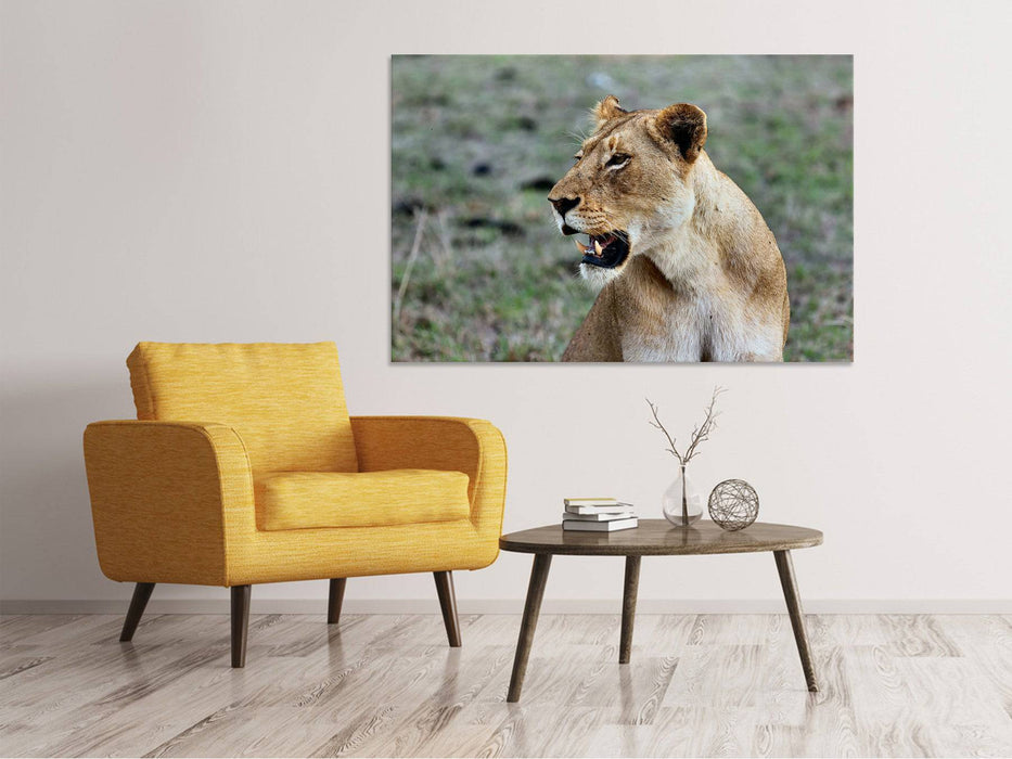 Canvas print Magnificent lioness