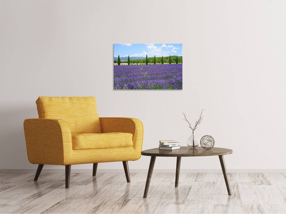 Canvas print Magnificent lavender field