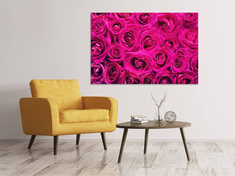 Tableaux sur toile Pétales de roses en rose