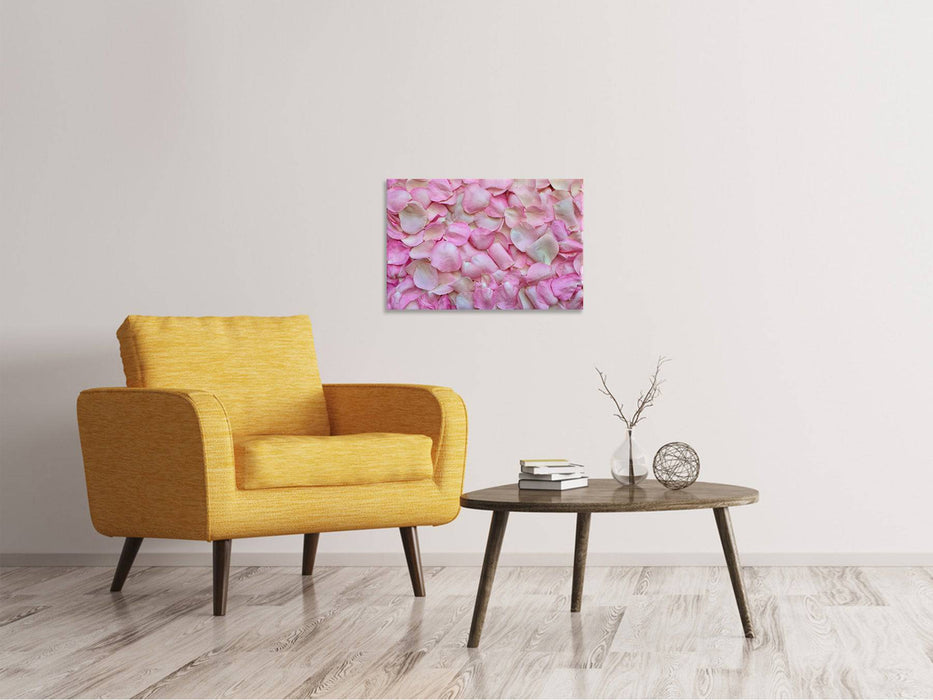 Canvas print rose petals in pink