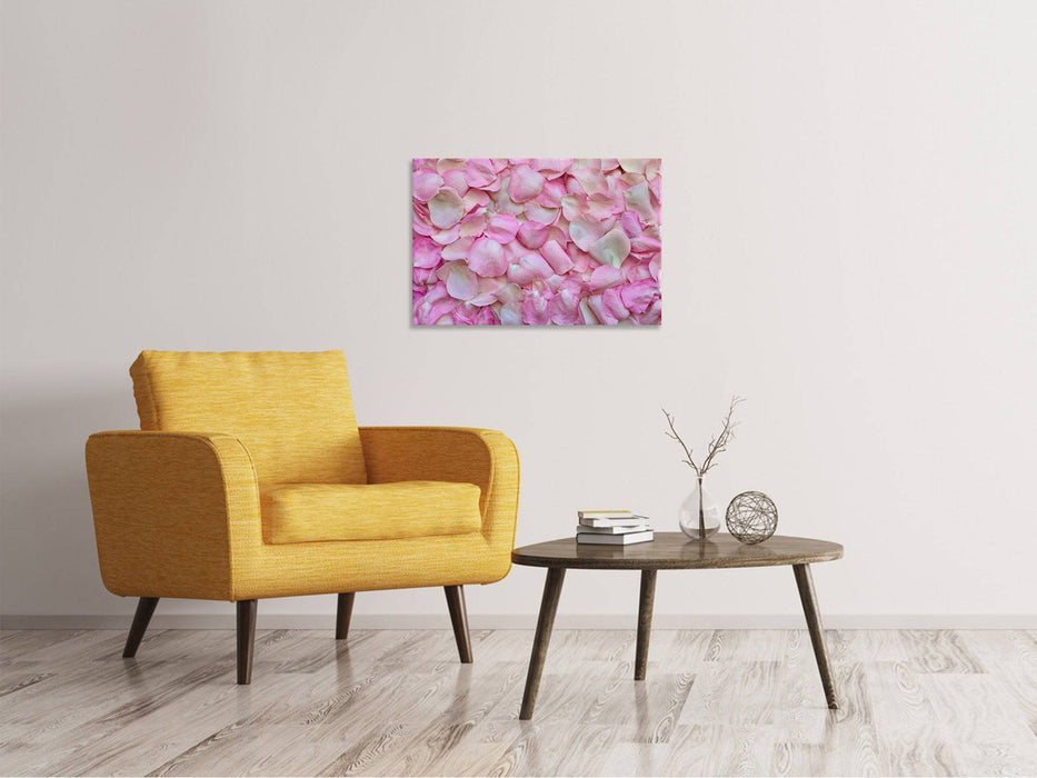 Canvas print rose petals in pink