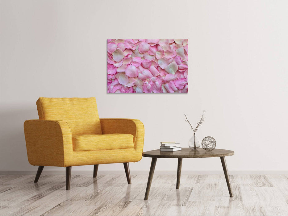 Canvas print rose petals in pink